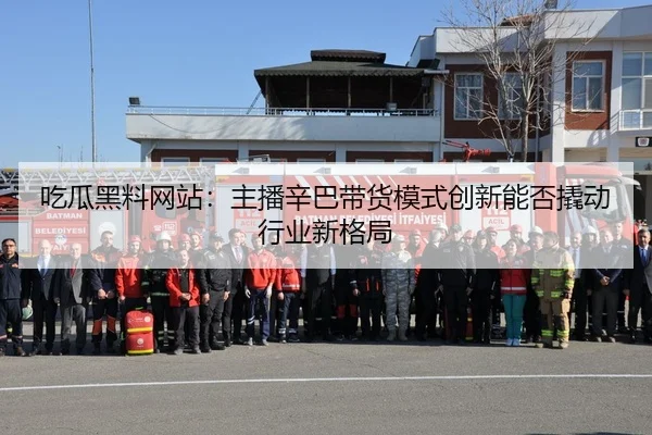 吃瓜黑料网站：主播辛巴带货模式创新能否撬动行业新格局